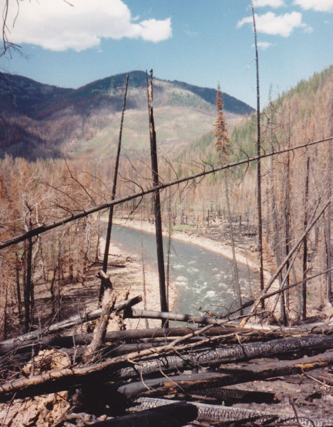 080913 canyon creek after fire 3